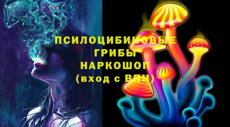 Галлюциногенные грибы Magic Shrooms  цена наркотик  Дагестанские Огни 